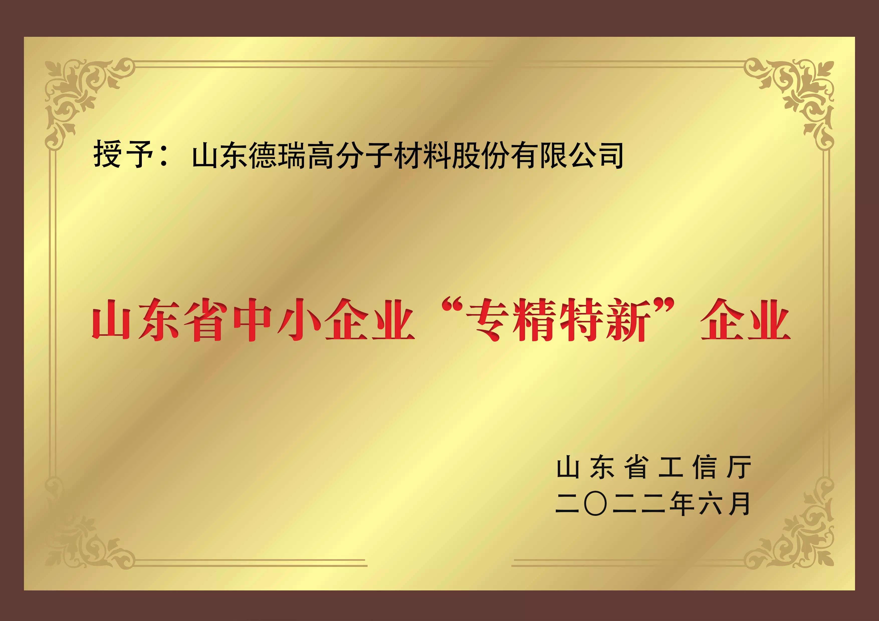 山东省中小企业专精特新2（工信厅）